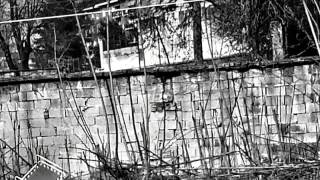 POD - Ghetto (unofficial video ) (slideshow)