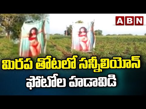 మిరప తోటలో సన్నీలియోన్ ఫోటోల హడావిడి...! || MAHABUBABAD|| ABN TELUGU