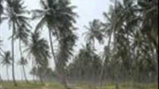 COUNT OSSIE and THE MYSTIC REVELATION OF RASTAFARI-Grounation.mp4