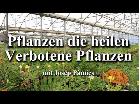 Testikulären Ultraschall und Prostata Heilen in der Anfangsphase der Prostata