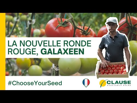 Video: GALAXEEN F1 (HMC44308)