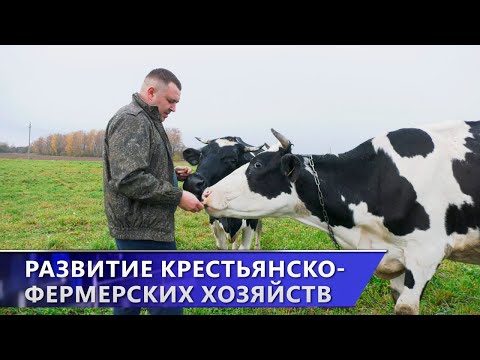 Главное – желание! Как в Витебском районе развиваются крестьянско-фермерские хозяйства?