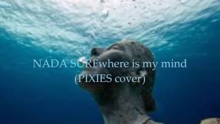 NADA SURF   where is my mind pixies COVER