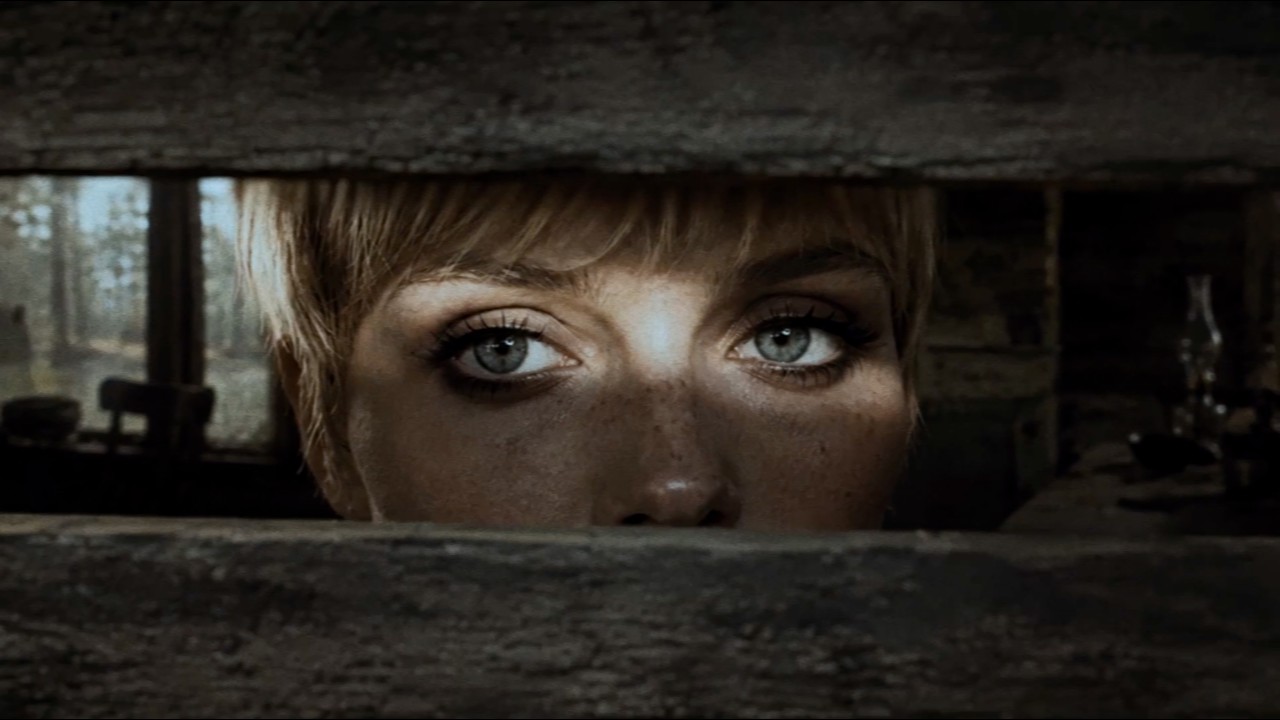 Old Cabin Tale — It Follows | Music Video