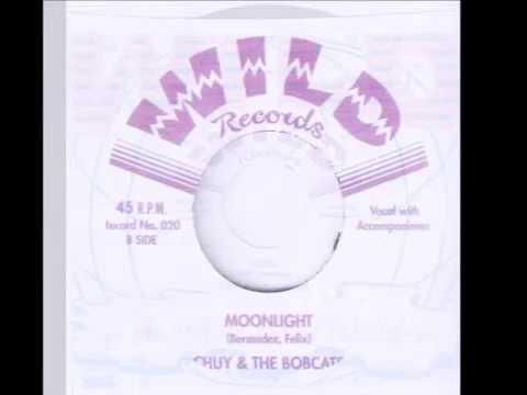 Chuy & The Bobcats - Hobo (WILD RECORDS)