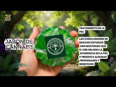 Over Santamaria vs Alex Otaegui (pelea completa)