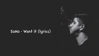 SoMo - Want it (lyrics)