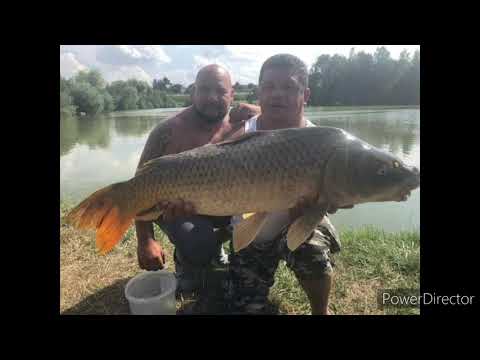 Gipsy Daktar  Nasvalo som 2021 Cover