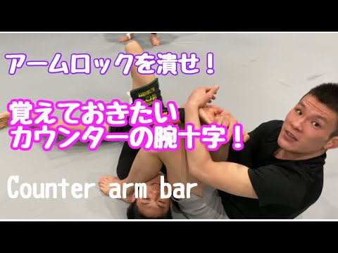 青木真也　カウンターの腕十字　shinya aoki arm bar