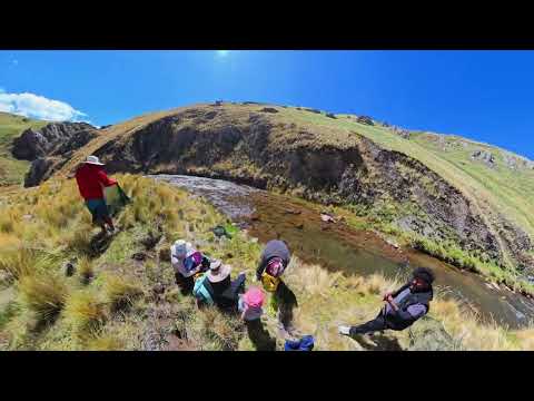 Buena pesca . Cusco canas layo 
