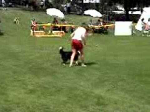 Ness Freestyle Routine