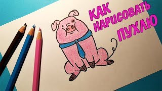 Как нарисовать пухлю по клеточкам
