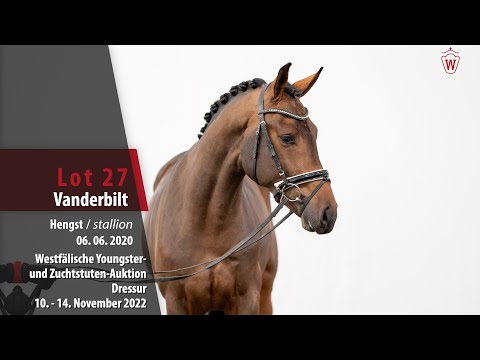 Online-Auktion Lot 27 Vanderbilt Hengst v. Vaderland - Fidertanz