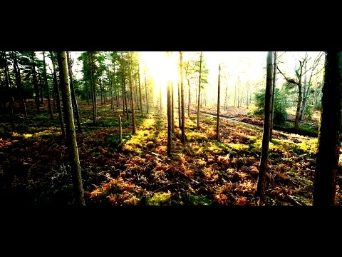 STRESMATIC-MISSING YOU official video