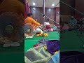 Shanmuga Priya Ragam Srikalahasti K Durga Prasad And Venkatesh Thavil Shivaram Ganesh