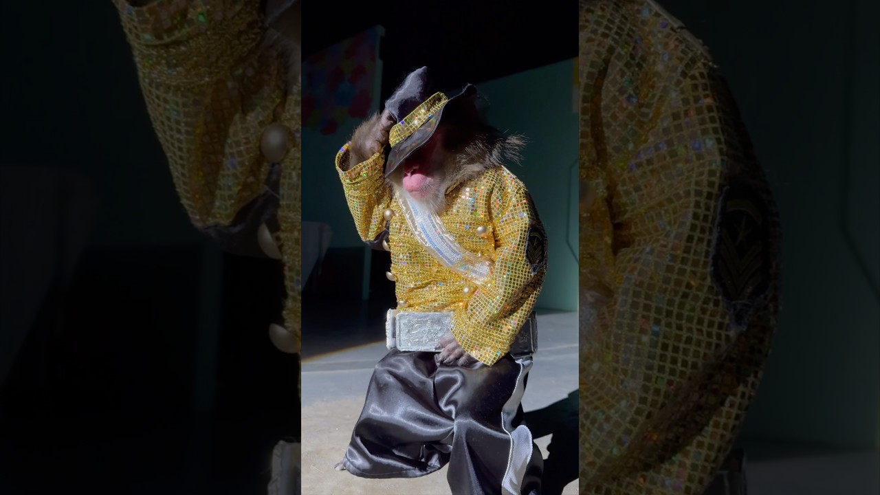 マイケルジャクソンを踊る猿がかっこよすぎる