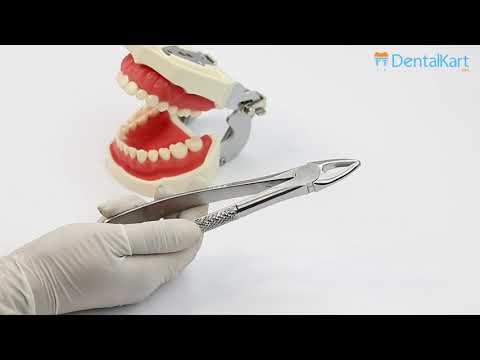 Waldent Tooth Extraction Forceps Upper Roots & Incisor, No.29 (1/117)