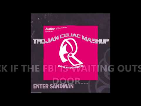 Audien Vs Metallica - Enter Wayfarer (Trojan Celiac Mashup)