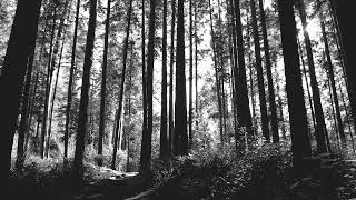 Nathan Kawanishi - yours to find [Official Ambient Visualizer]