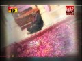 Sindh Jee Rani Ahmed Mughal Dard Jo Saharo Hits Sindhi Songs Thar Production