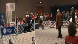 Tyler Final Open
