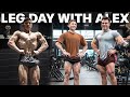 BULK UPDATE | MASSIVE LEG WORKOUT W/ ALEX BOZINOVSKI