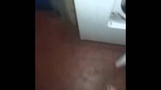 Bobs in the laundry!!!