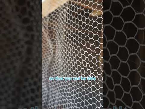 Broiler Chicken Farming broilerchicken poultryfarming chicken poultrymanagement