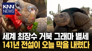 \ 큰할머니 편히 쉬세요\ 애도 141세 '동물원 여왕' 영면 / KNN