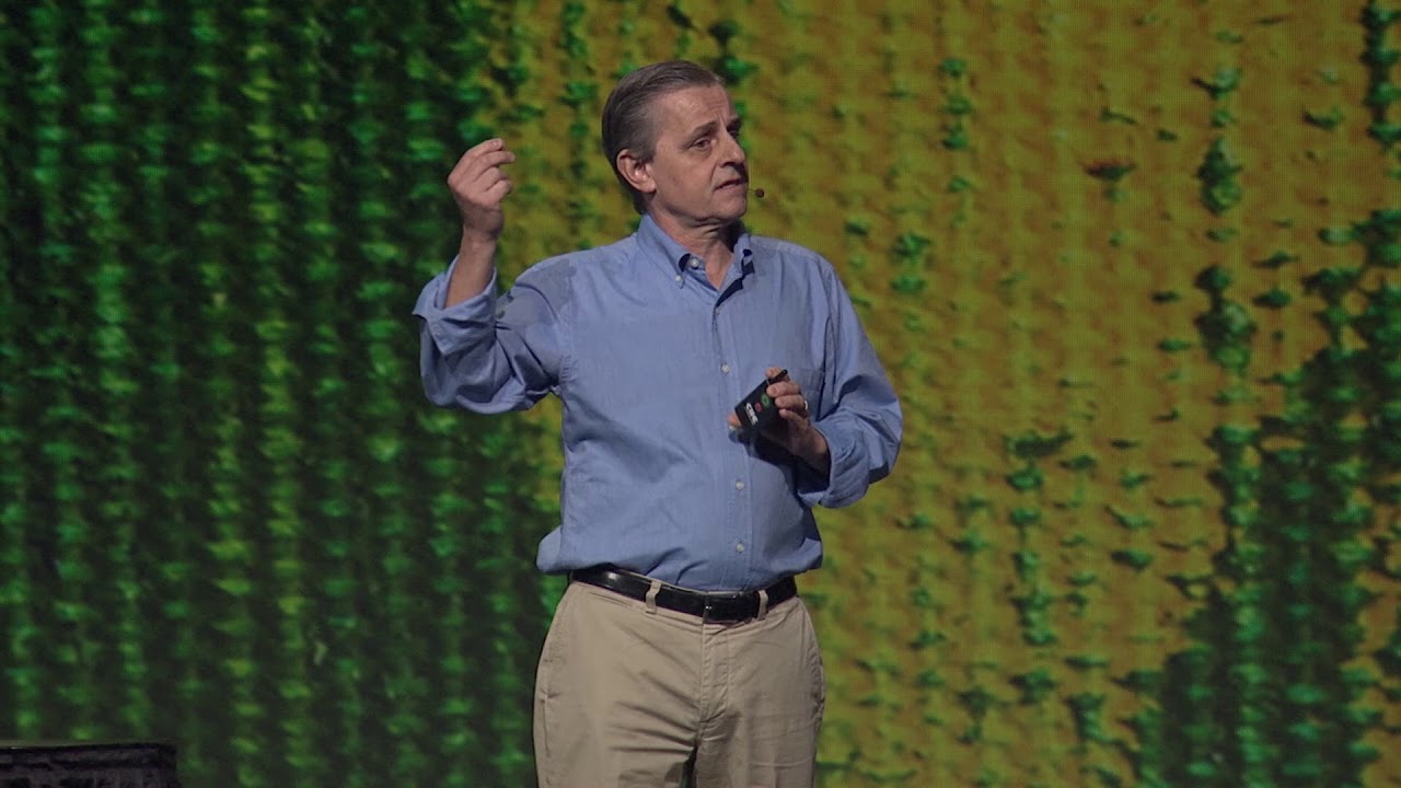 Critical Connections Live: Bioelectric Medicine