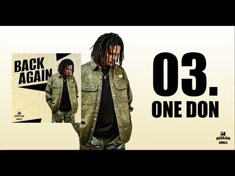 BASTA LION - ONE DON (Visualizer)