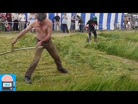 Die schnellsten Arbeiter der Welt #2 (Niemand kann sie schlagen!)