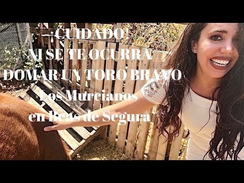😱¡CUIDADO! NI SE TE OCURRA Domar un Toro Bravo o LOS MURCIANOS en Beas de Segura