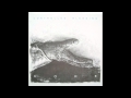 Controlled Bleeding - Underside (Of Lung Trees)