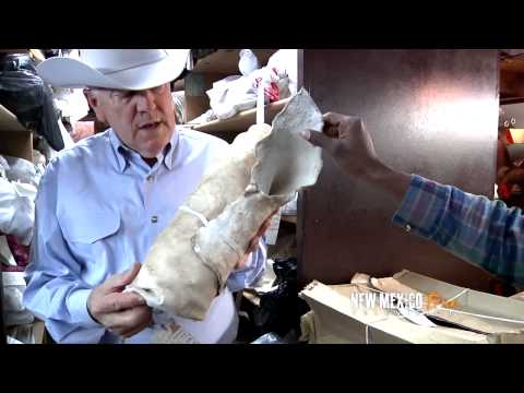 NM True TV - Season 1 - Episode 4: Northwest