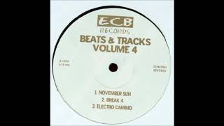 Dj Icey - Electro Camino