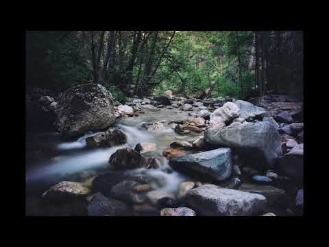 MUSICA NATIVA INDIO AMERICANO- FLAUTA, NATURALEZA Y AVES 🦜🦚