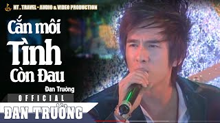 CẮN MÔI TÌNH CÒN ĐAU || ĐAN TRƯỜNG | LIVE SHOW NGÔI SAO BAY 