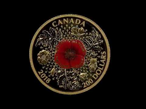 1 oz. Pure Gold Coin - Armistice Poppy