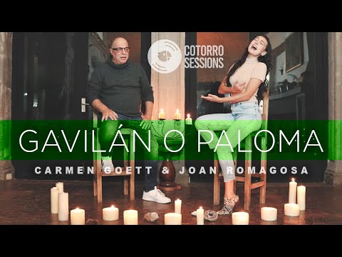 Gavilán O Paloma - Cotorro Sessions (feat. Joan Romagosa y Carmen Goett)