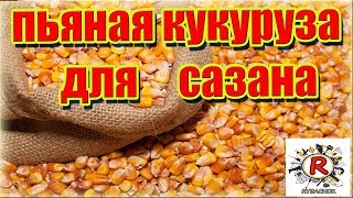 Ссылка