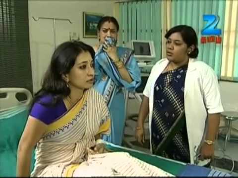 Pugundha Veedu - புகுந்த வீடு - EP 386 - Shamita, Srikaran - Tamil Family Show - Zee Tamil