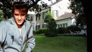 Elvis Presley-Love song of the year legenda Português