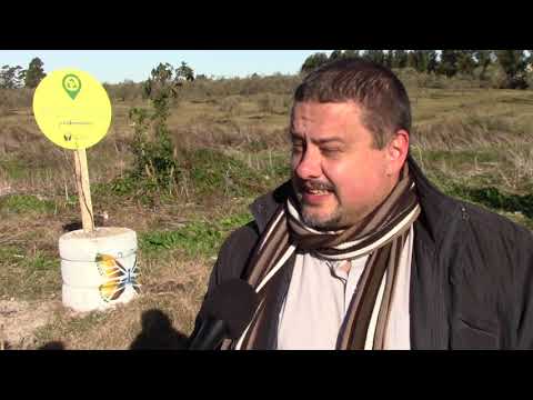 Comenzó Plan de Erradicación de Basurales en el barrio Aeroparque del Municipio Nicolich