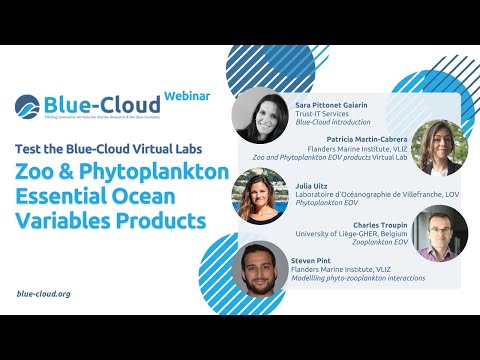 Webinar: Test the Virtual Labs - Zoo & Phytoplankton Essential Ocean Variables Products
