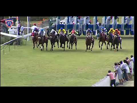 RM37 R5 | Iditarod Trail | J.Watson