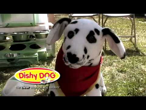 download lagu mp3 mp4 Dishy Dogs, download lagu Dishy Dogs gratis, unduh video klip Dishy Dogs