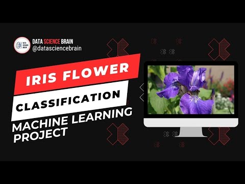Iris Flower Classification Using Python And Machine Learning