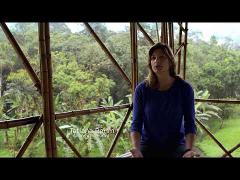 Arquitetura e ecologia