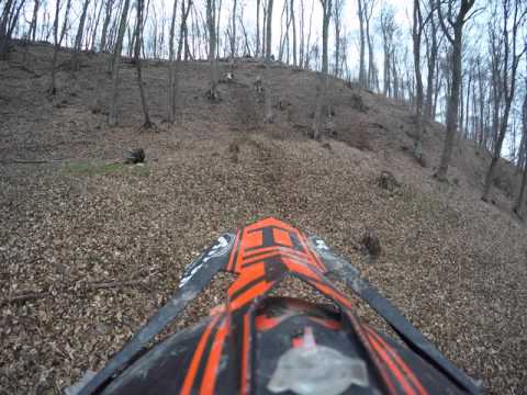 Vadkakaduk - Az elnöki küzdelem